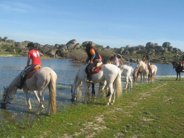 los caballos de los peques bebiendo